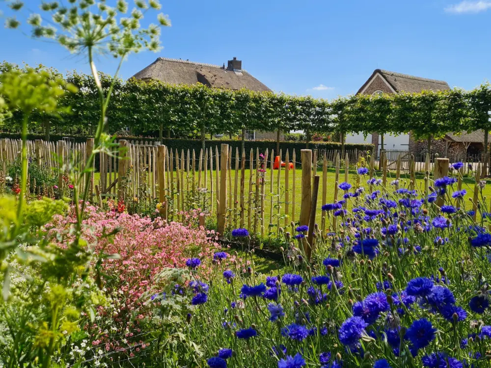 Accommodatie Liberte aan zee in Burgh-Haamstede