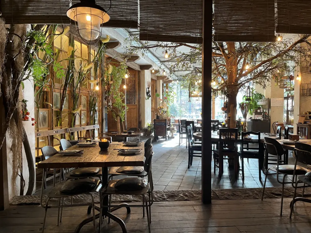 Restaurant Little V Rotterdam in Rotterdam