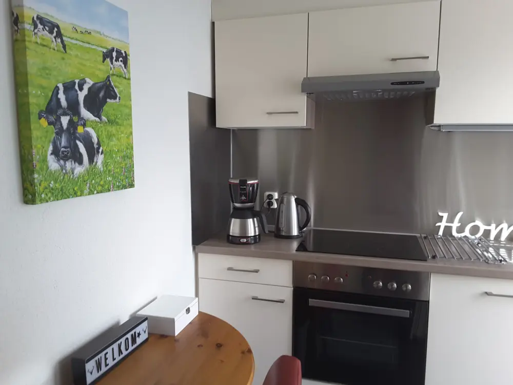 Accommodatie Logies ijsvogel in Jutrijp
