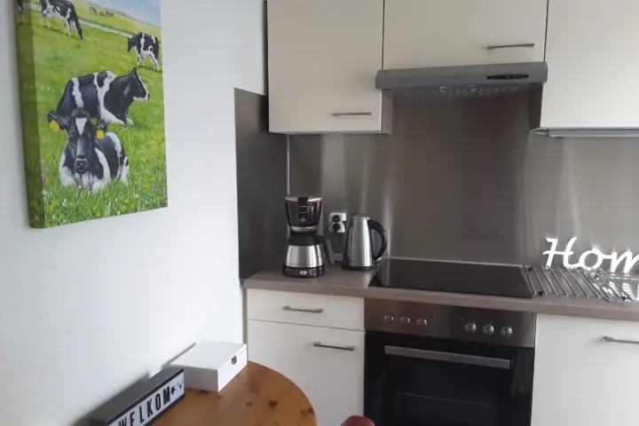 Accommodatie Logies ijsvogel in Jutrijp