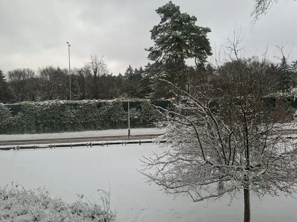 Accommodatie Merelhof 75 in Bussum