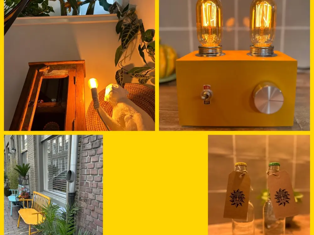 Bed & Breakfast Monkey Tree Stay in Schiedam