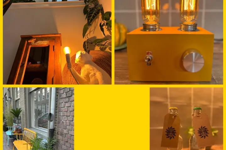 Bed & Breakfast Monkey Tree Stay in Schiedam