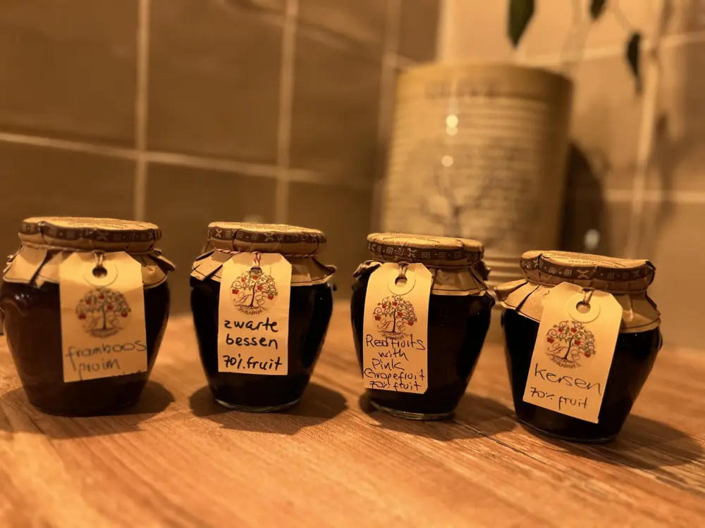 Bed & Breakfast Monkey Tree Stay in Schiedam