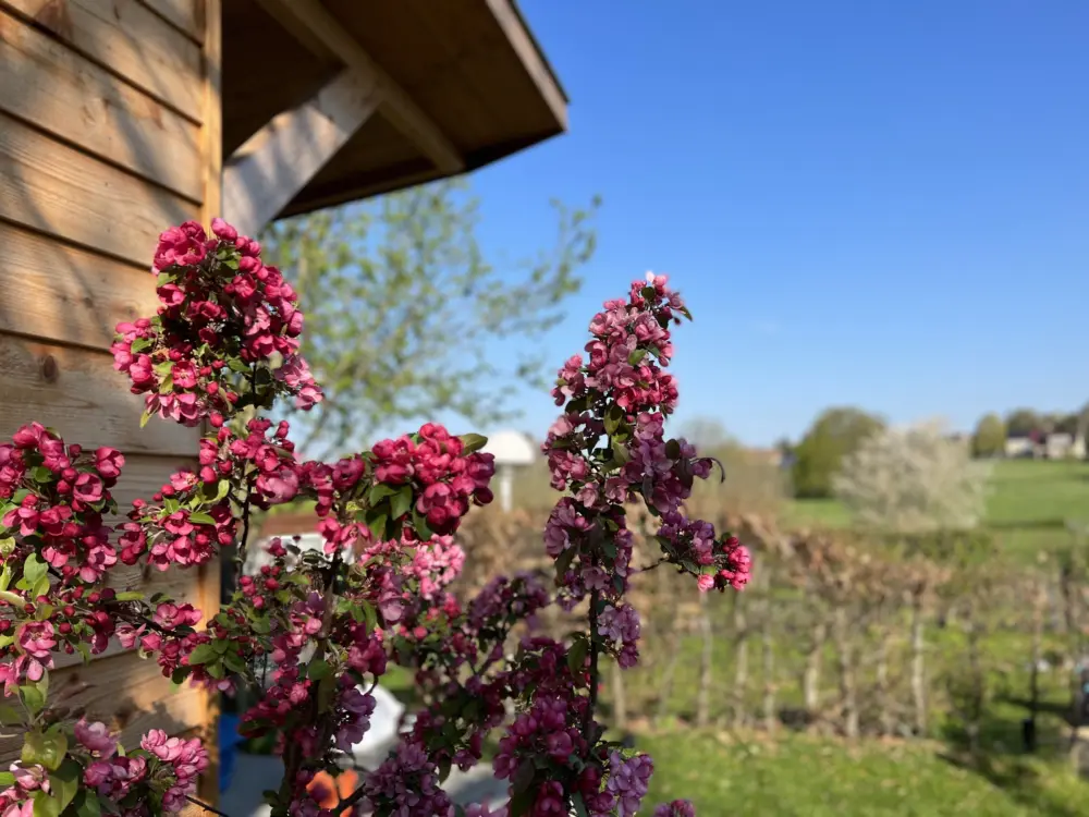 Accommodatie Natuurhuisje Banholt in Banholt