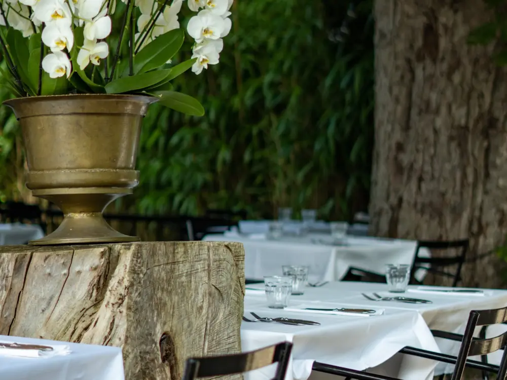 Restaurant Nick Vollebregt | Jazzy Bar | Bistronomie | Terras in Laren