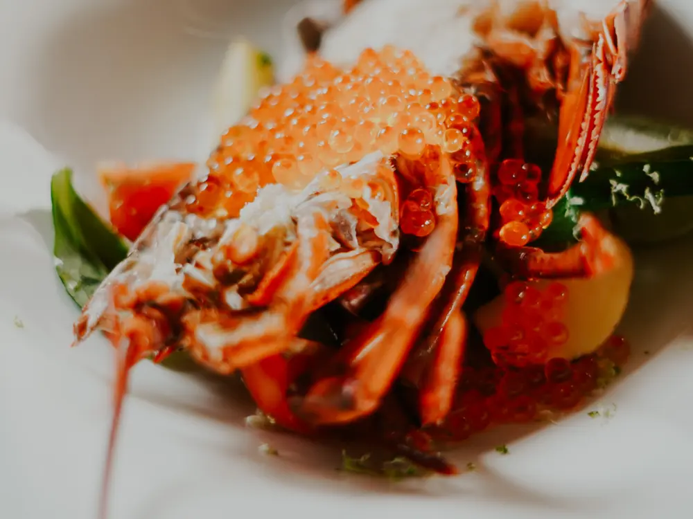 Restaurant Nick Vollebregt | Jazzy Bar | Bistronomie | Terras in Laren
