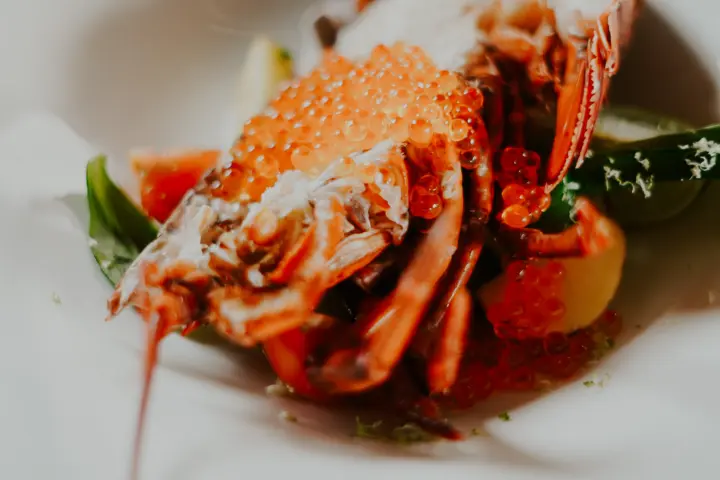 Restaurant Nick Vollebregt | Jazzy Bar | Bistronomie | Terras in Laren