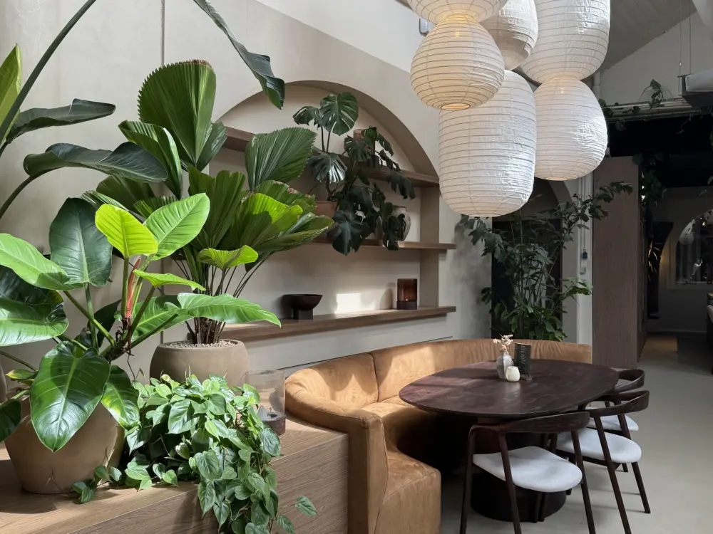 Restaurant On Other Drugs in Rotterdam