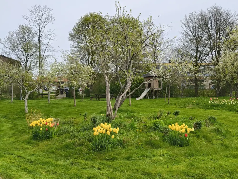 Accommodatie Ontmoetingstuin in Sneek