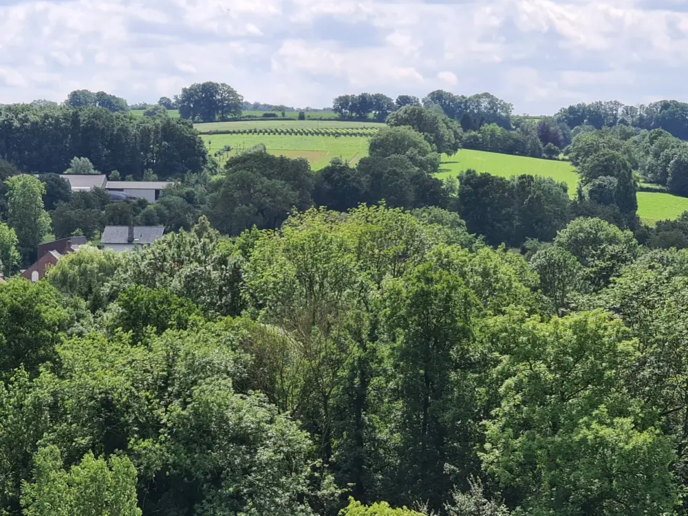 Accommodatie paNOORama in Noorbeek