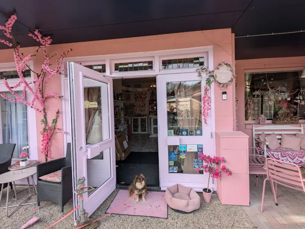 Pink Hotel B&B Lela in Valkenburg