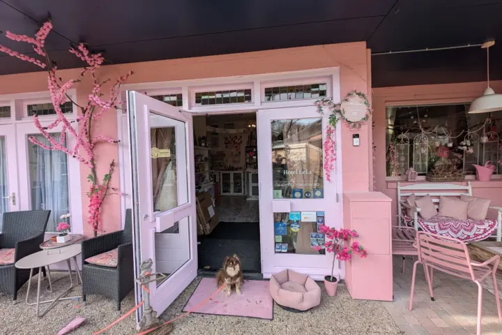 Pink Hotel B&B Lela in Valkenburg