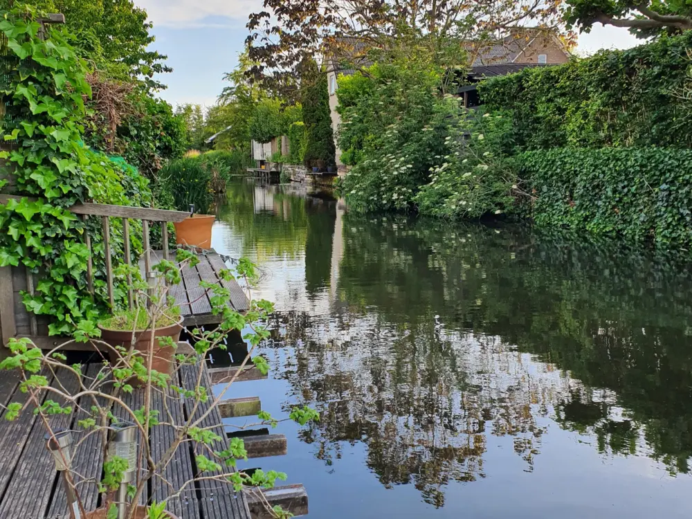 Bed & Breakfast Quarenta in Amsterdam