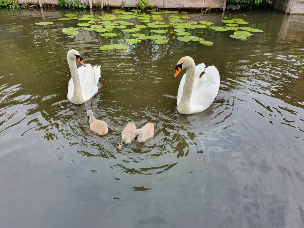 Bed & Breakfast Quarenta in Amsterdam