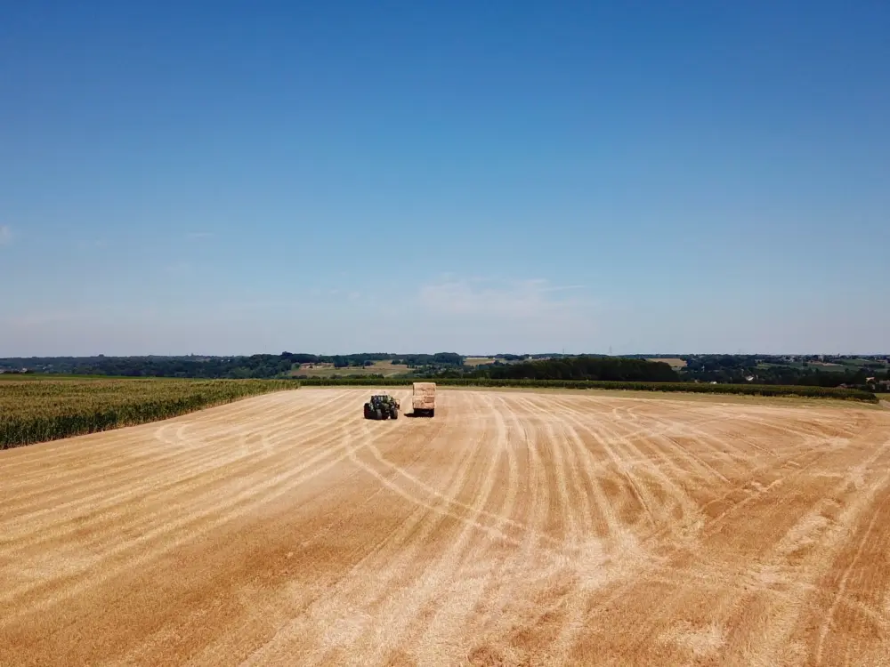 Accommodatie Recreatieboerderij de Keutenberg in Schin op Geul