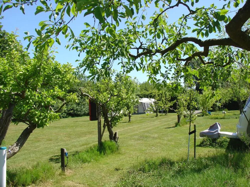 Accommodatie Recreatieterrein Welgelegen in Burgh-Haamstede