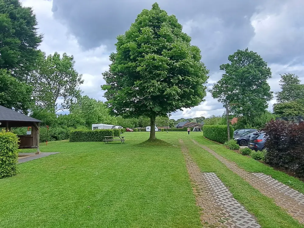 Accommodatie Reijmerstok Schuur in Reijmerstok