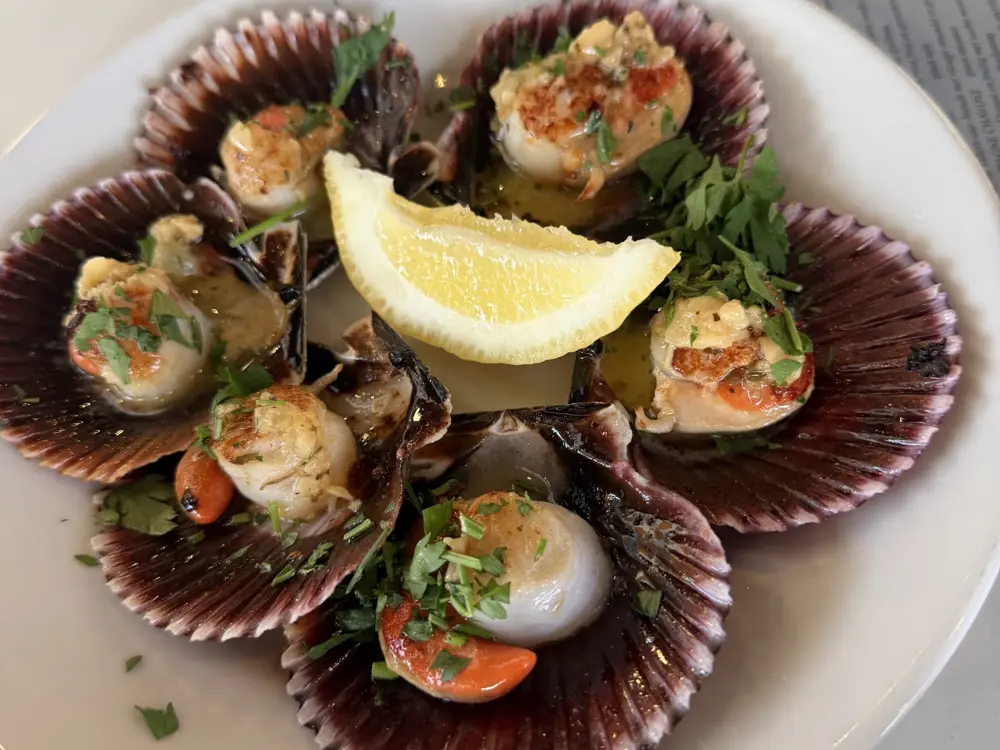 Restaurant Barracuda Amsterdam in Amsterdam