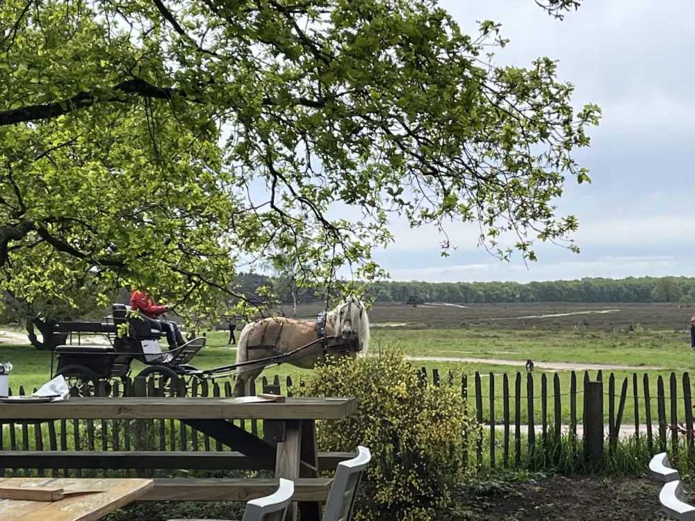 Restaurant café Heidezicht in Bussum