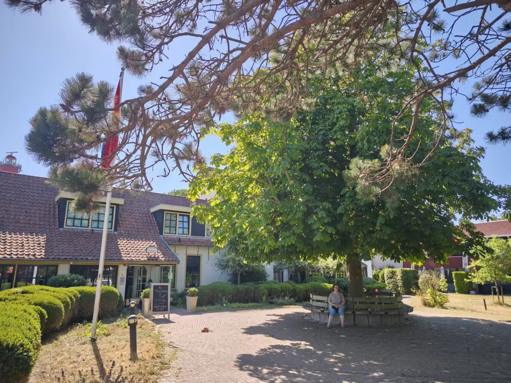 Restaurant de Torenhoeve in Burgh-Haamstede