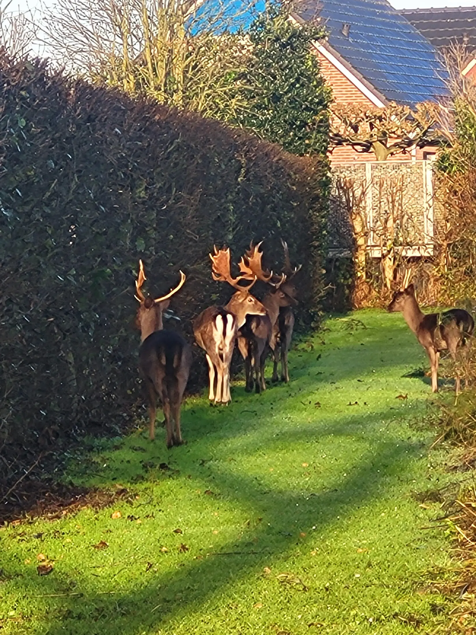 Overnachten in Burgh-Haamstede