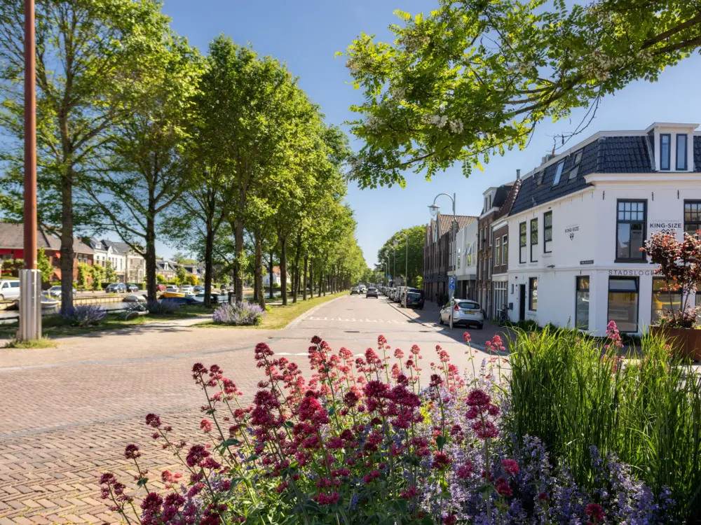 Bed & Breakfast Stadslogement KingSize Sneek in Sneek
