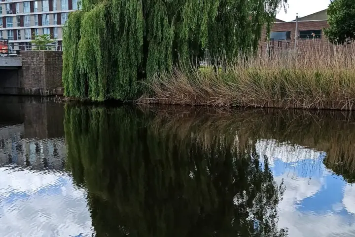 Hotel Studio QuaAmsterdam in Amsterdam