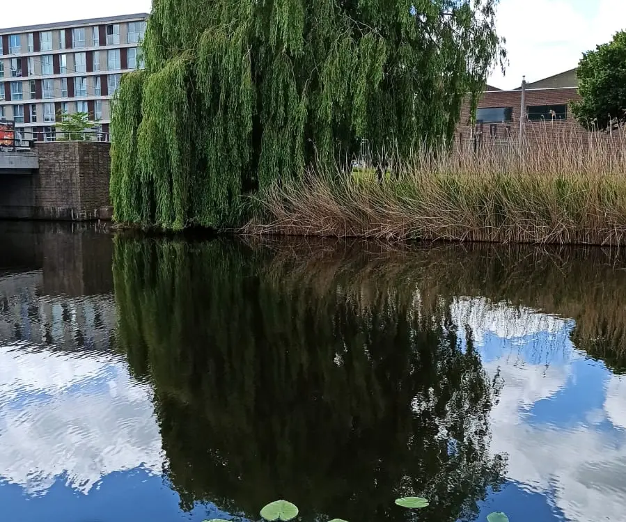 Hotel Studio QuaAmsterdam in Amsterdam