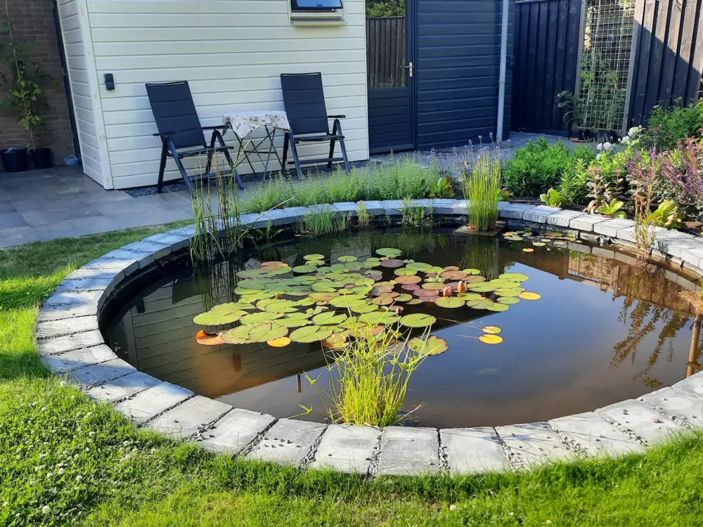 Bed & Breakfast Studio Zeeuws Knoopje in Burgh-Haamstede