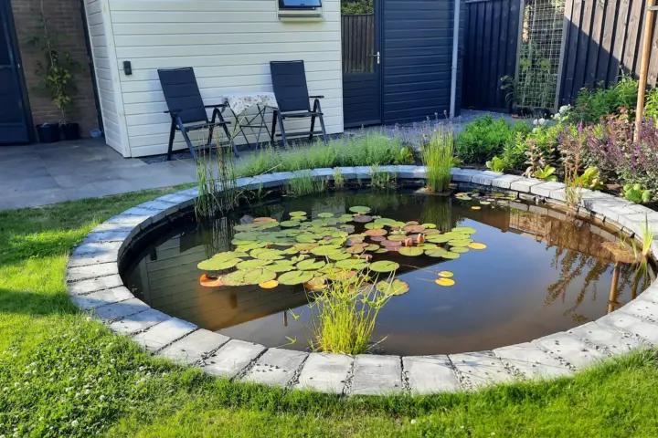 Bed & Breakfast Studio Zeeuws Knoopje in Burgh-Haamstede