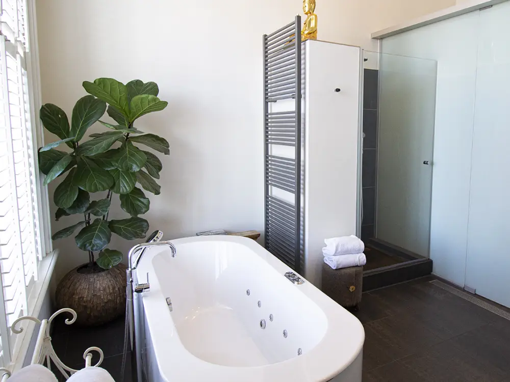 Suite Hotel Pincoffs Rotterdam in Rotterdam