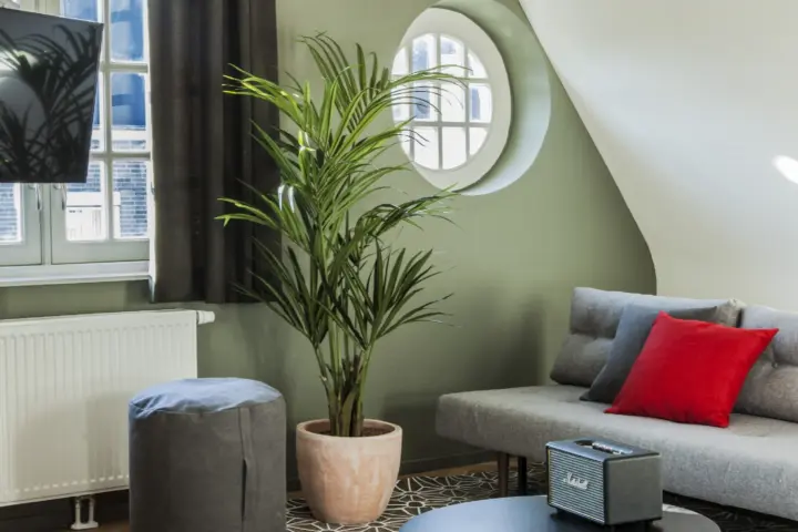 Accommodatie The Duke Apartments in 's-Hertogenbosch