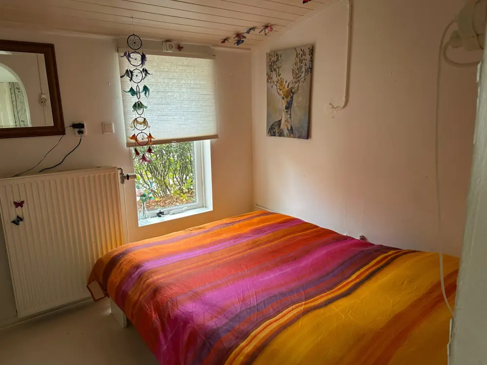 Bed & Breakfast The Explorers Hostel in Zuidwolde