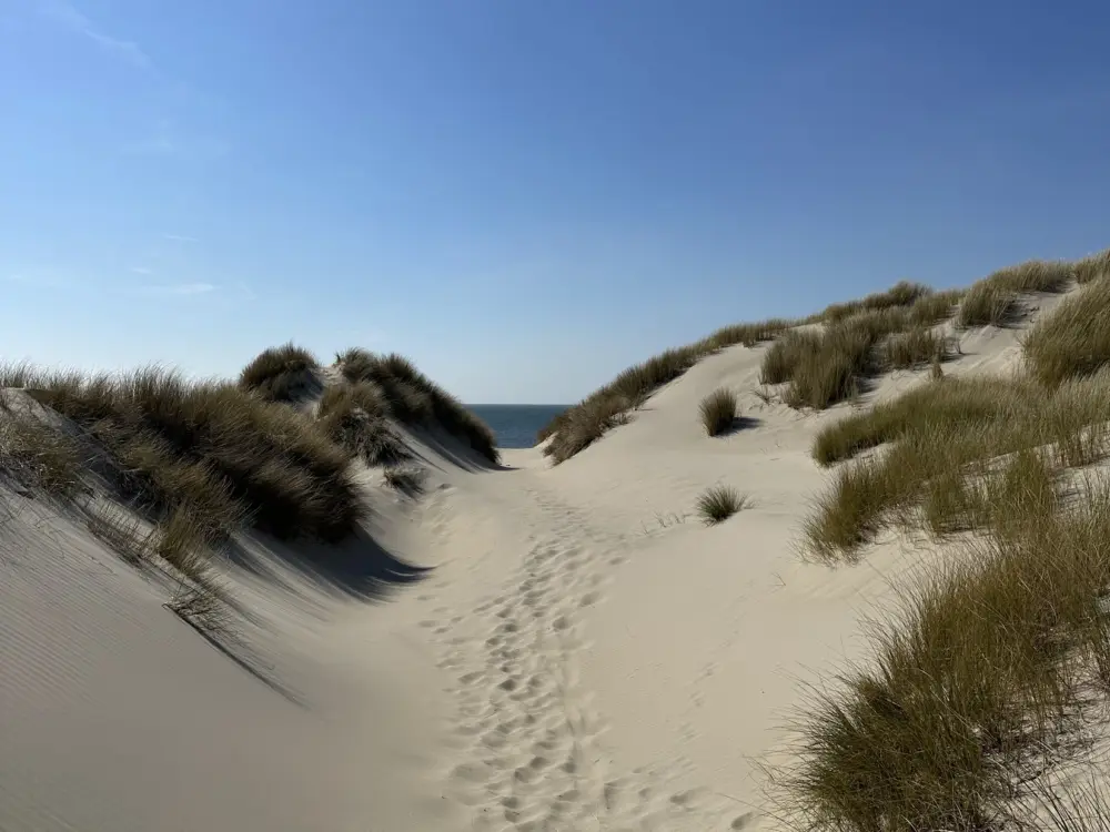 Bed & Breakfast Tiny House De Weie in Burgh-Haamstede