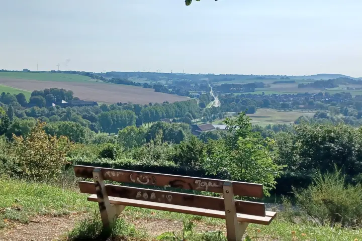 Accommodatie Vakantiewoningen De Vijfbundershof te Wijlre in Wijlre