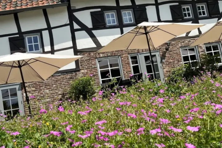 Hotel Vakantiewoningen De Witte Olifant in Noorbeek