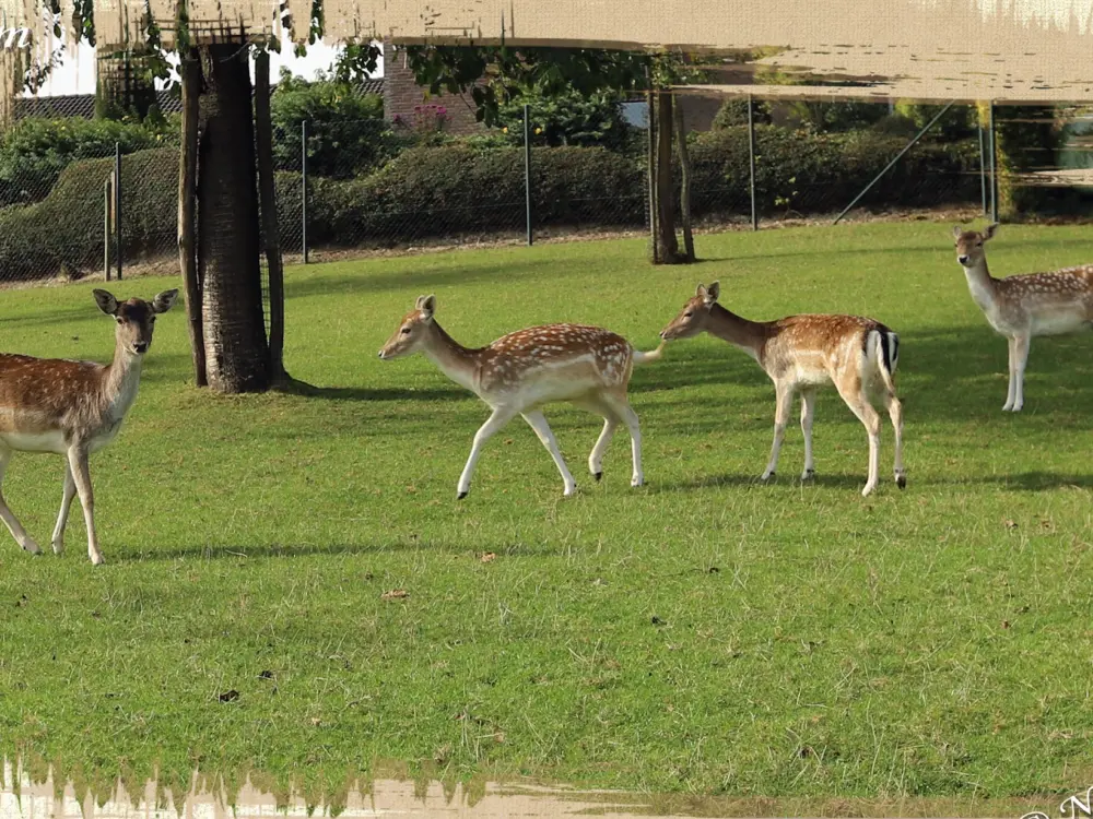 Accommodatie vakantiewoningheuvelland in Wijlre