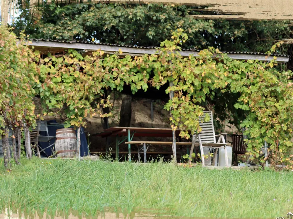 Accommodatie vakantiewoningheuvelland in Wijlre