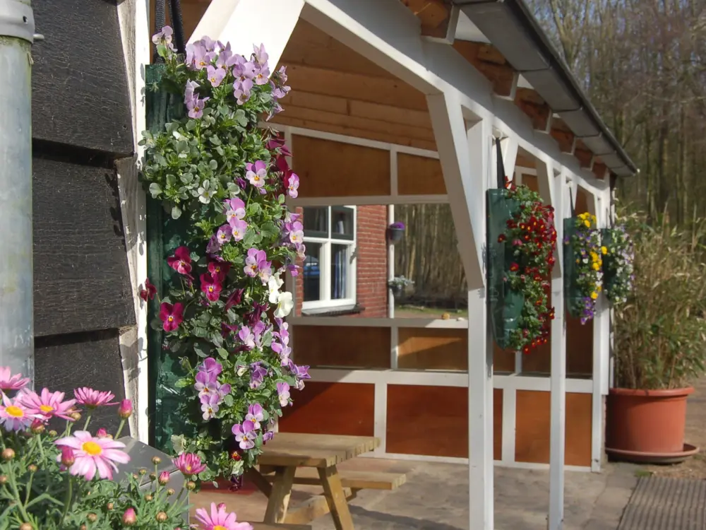 Accommodatie Veldstudiecentrum De Schelphoek in Serooskerke Schouwen