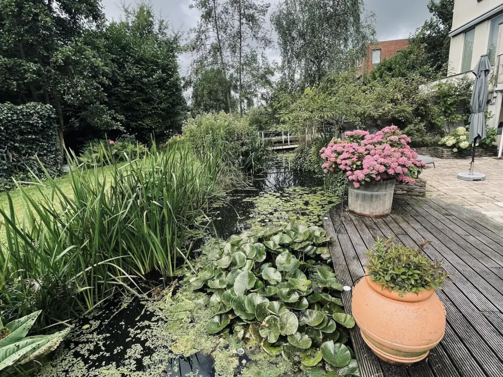 Bed & Breakfast Verborgen Parel aan de Rotte in Rotterdam
