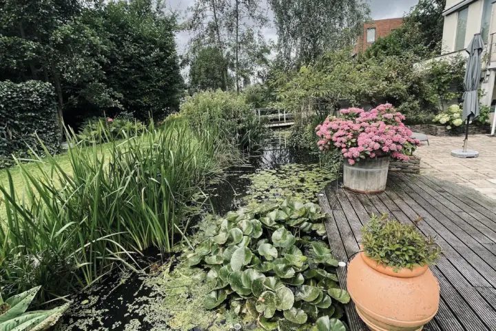 Bed & Breakfast Verborgen Parel aan de Rotte in Rotterdam