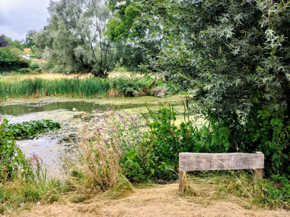 Accommodatie Walem in Walem