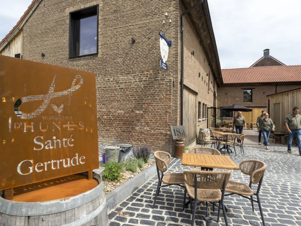 Wijndomein D'Hunes in Sint Geertruid
