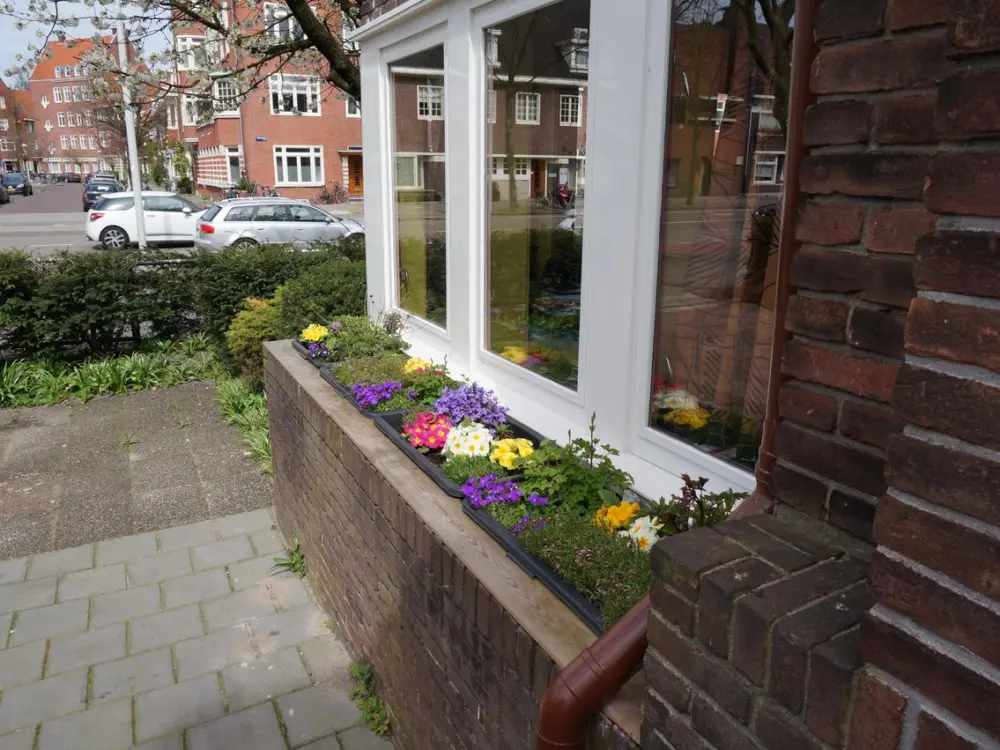 Xaviera's Bed and Breakfast in Amsterdam