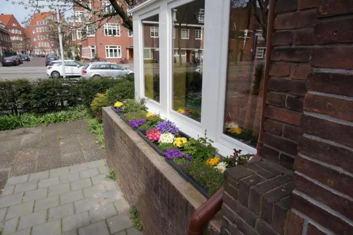 Bed & Breakfast Xaviera’s Bed and Breakfast in Amsterdam