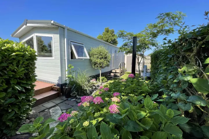 Accommodatie Zeeland-Chalet-Renesse auf Julianahoeve in Renesse