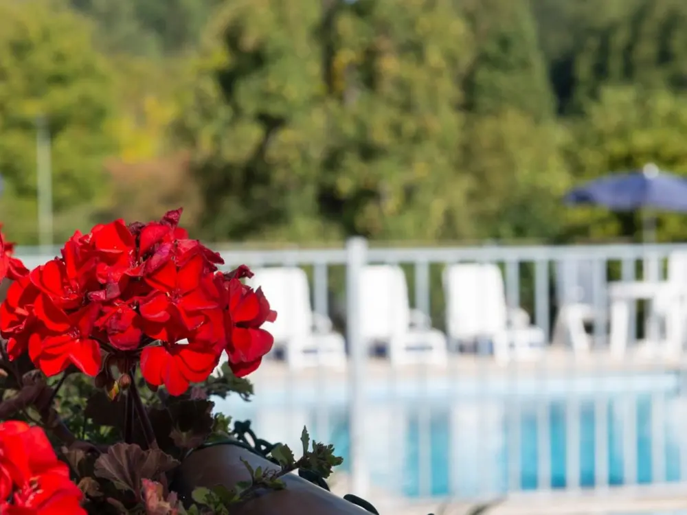 Vakantiecomplex Zonnehoeve Vakantiehuisjes en Camping in Valkenburg